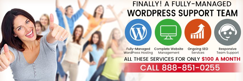 wpmgtteam's profile banner image