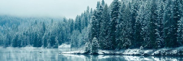 setloger Profile Banner