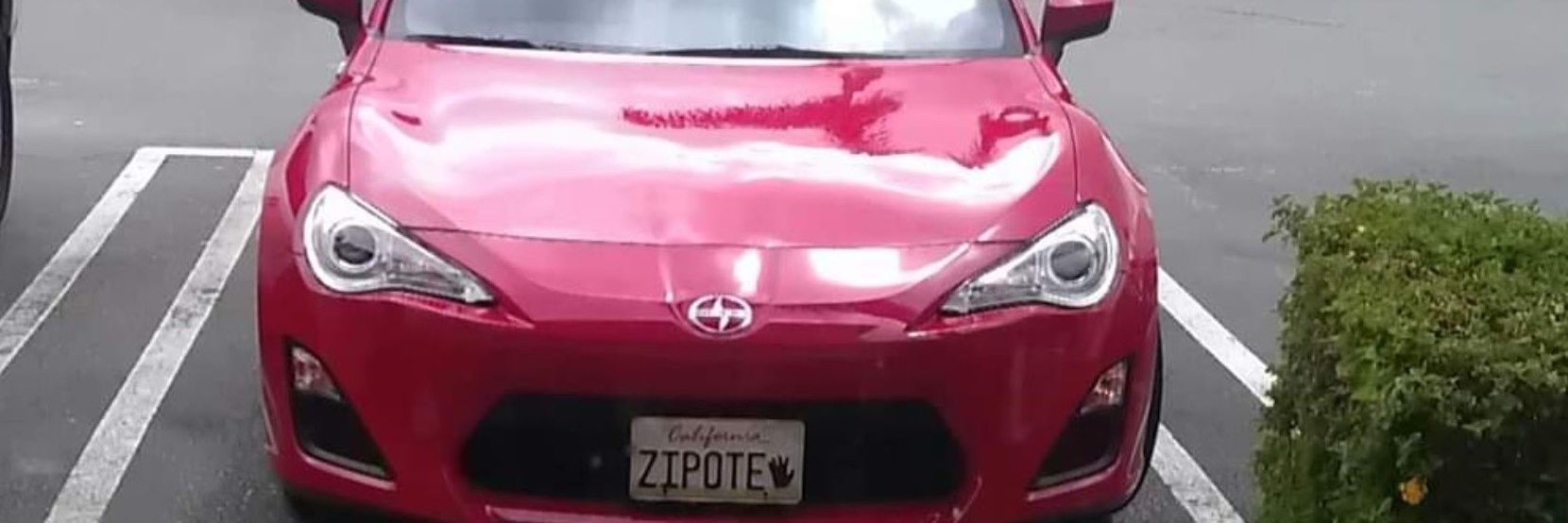 ZipoteFRS's profile banner image