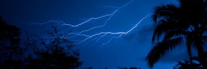 The Dolphin’s Grin banner