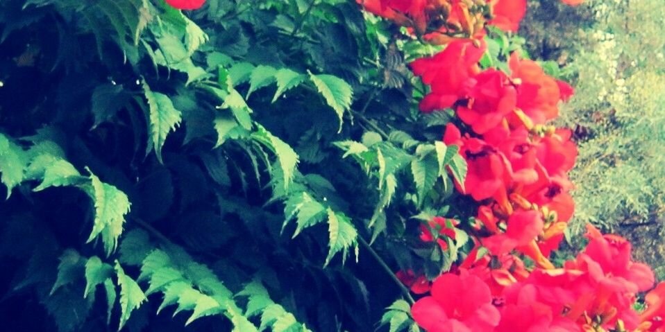 melikeev14's profile banner image