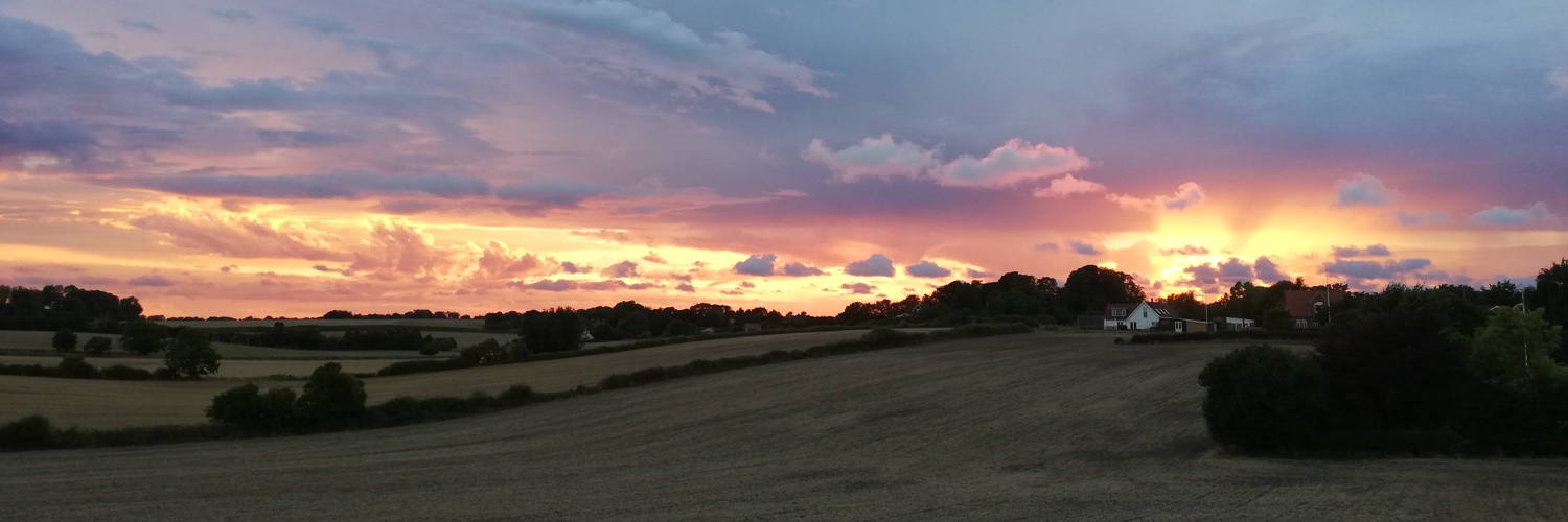 Nicolai Kammersgaard banner