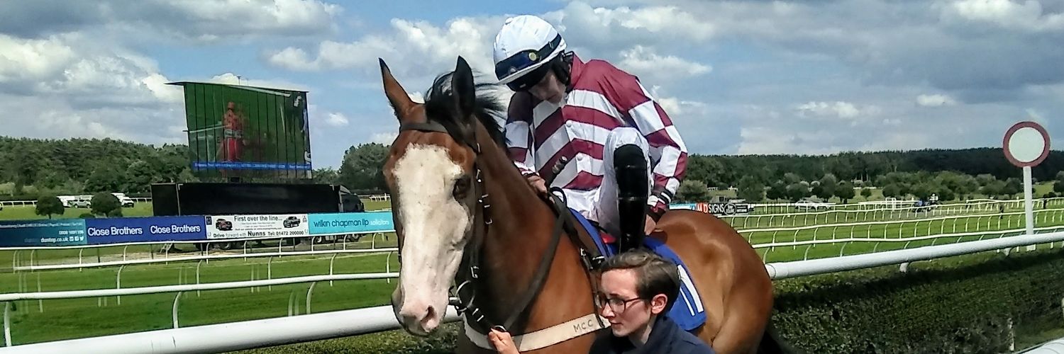 TRACEY LANE banner