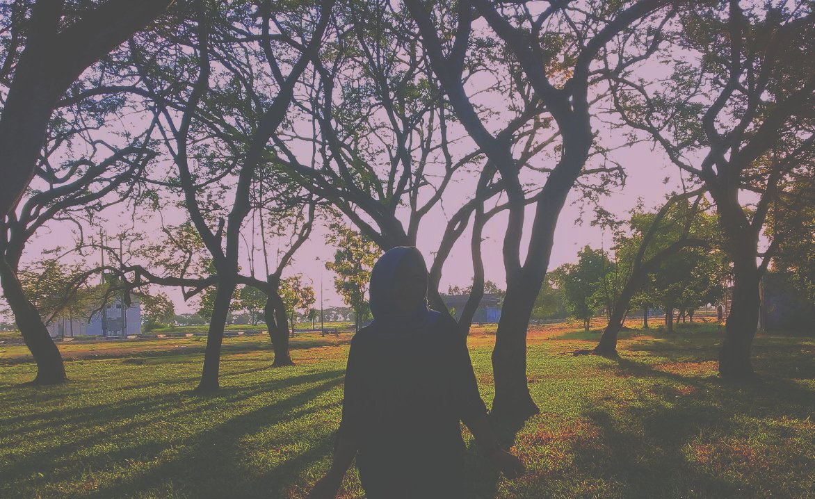 mayameida15's profile banner image