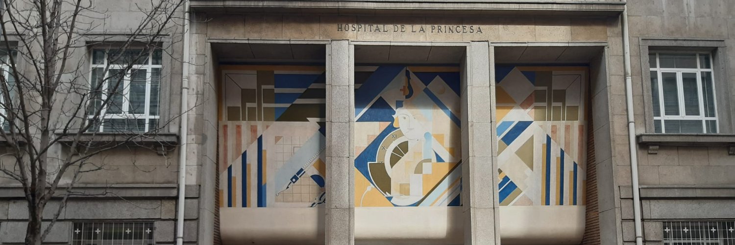 SATSE Hospital Princesa banner