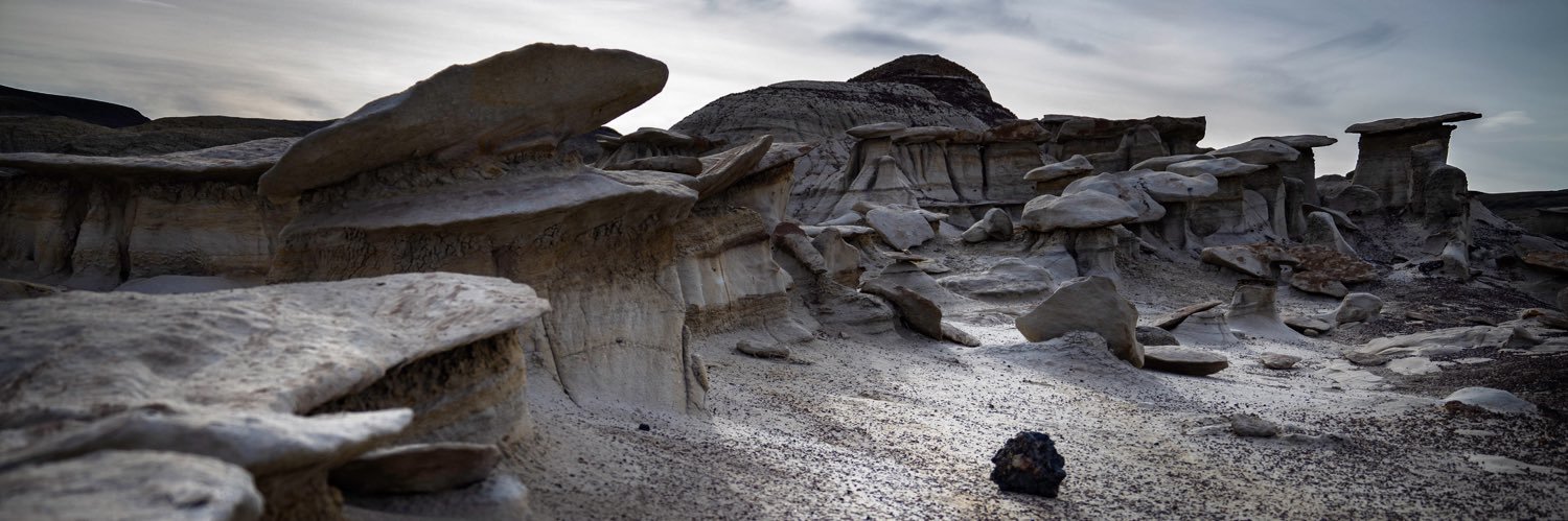 DallasHolloway's profile banner image