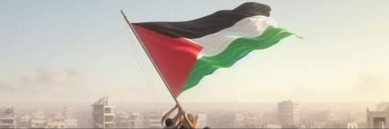normsaid ☝🏻🤲🏻💪🏻🇲🇾🇵🇸 banner