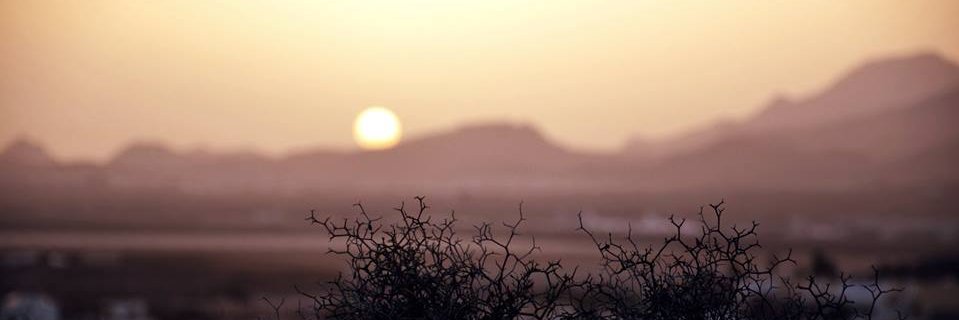 Laia Bonet banner