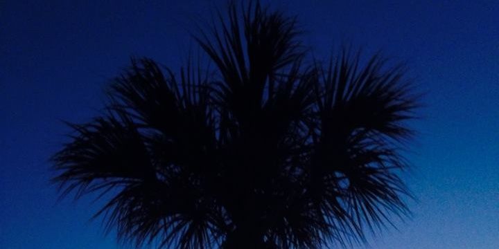 Misseymarsh's profile banner image