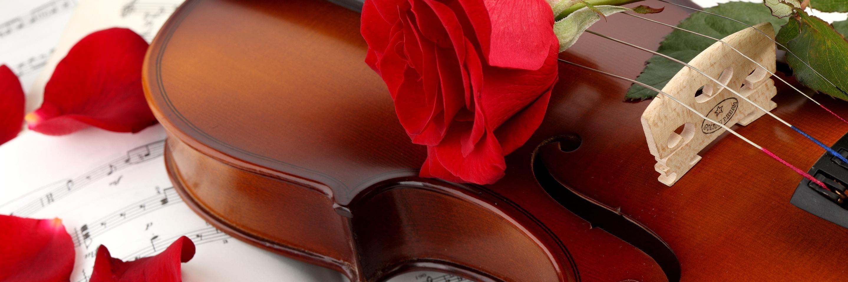 jundi_af's profile banner image