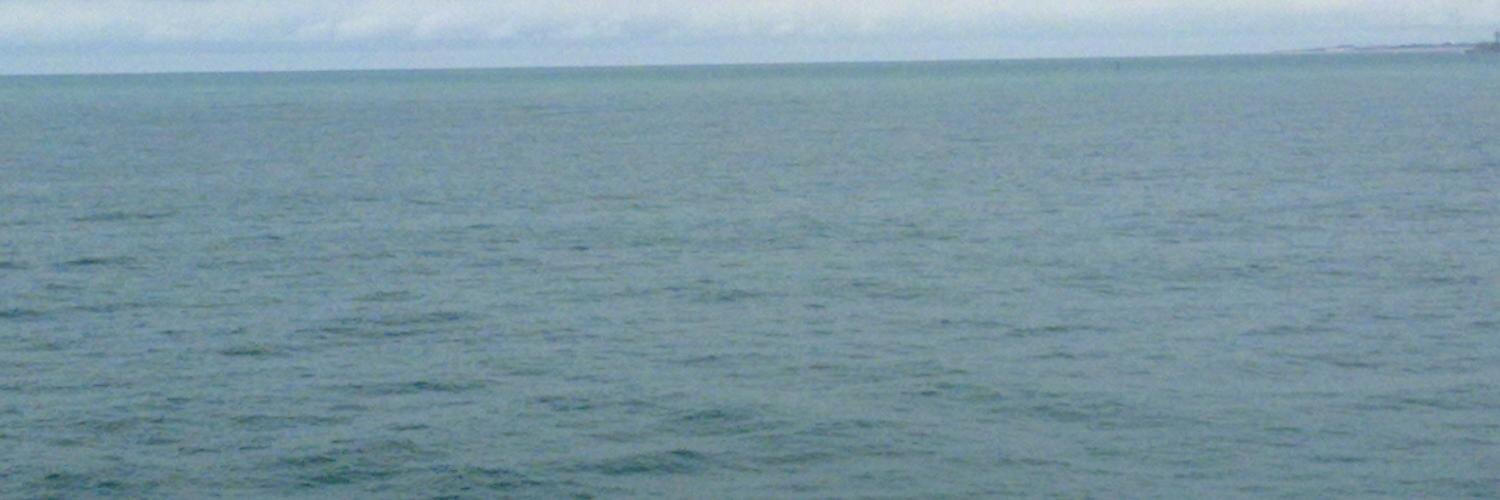 VirginiaCalvo22's profile banner image