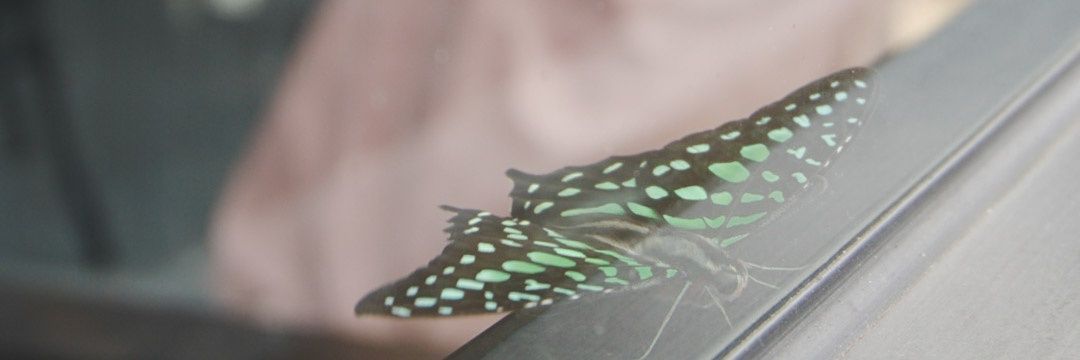 widyayanrn's profile banner image