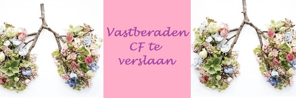 MucoFriendsNL's profile banner image