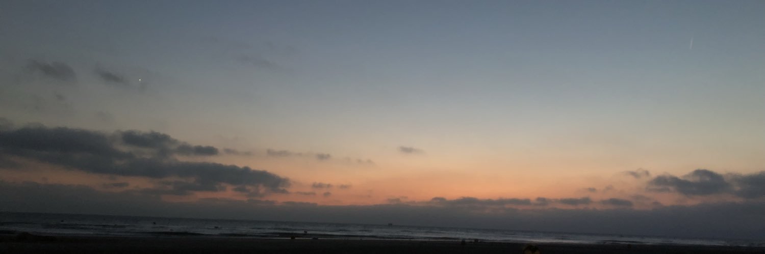 alinecsn's profile banner image