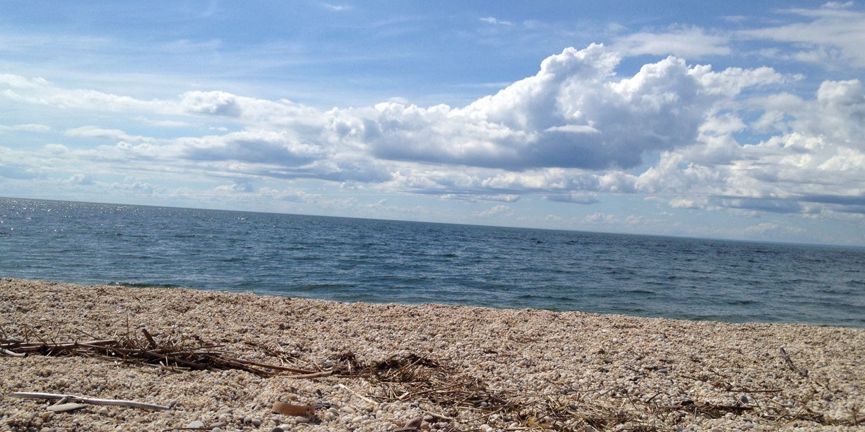 Alessandra Balzer banner