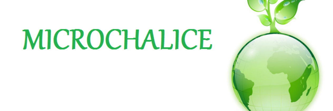 Microchalice's profile banner image