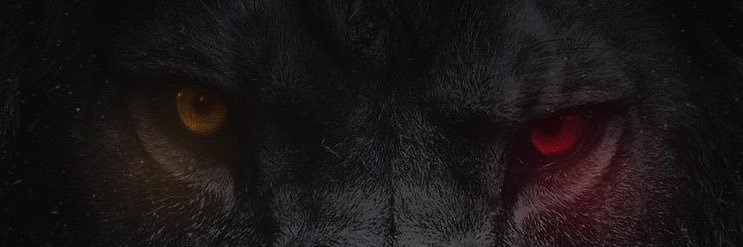 fffffffff2018's profile banner image