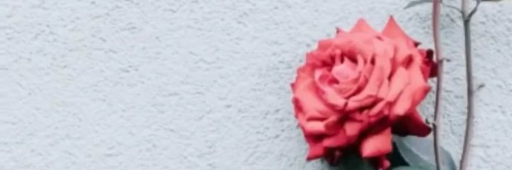 nikenfaiz's profile banner image