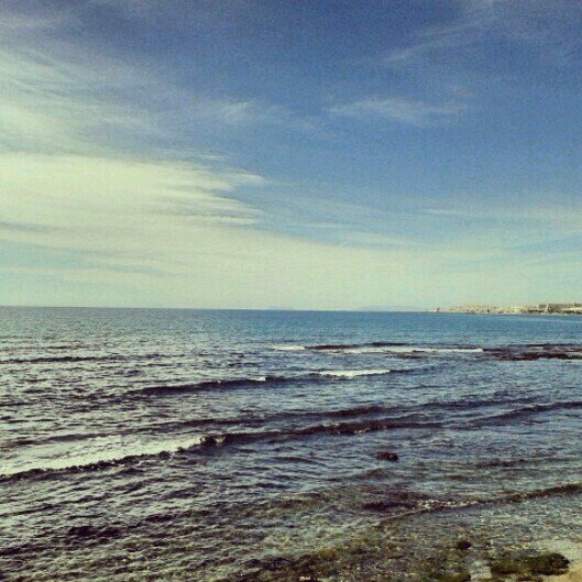 mariatorregrosa's profile banner image