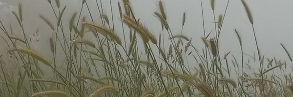 ranasukkarieh Profile Banner