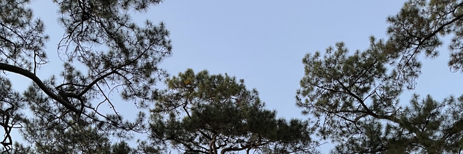 weywaa_'s profile banner image