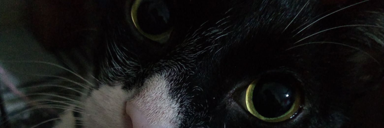 wtfmarin4's profile banner image