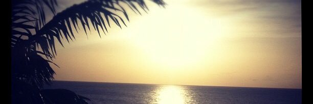 DonnaFiore7's profile banner image