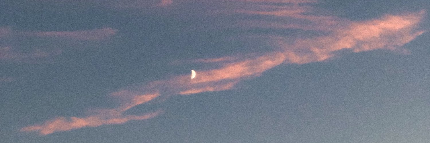 bimbuliene's profile banner image