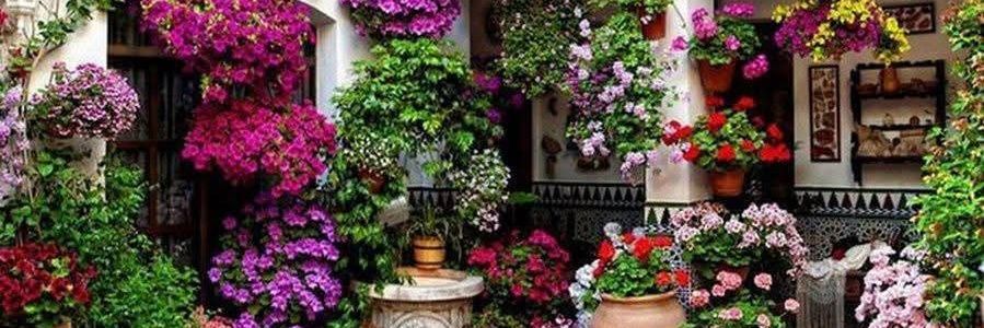 INSHASPK's profile banner image
