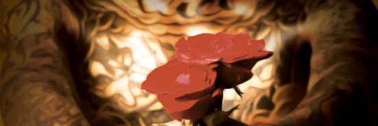harrybon_'s profile banner image