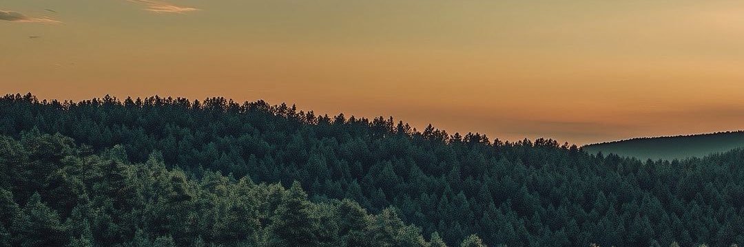 mortezaxan's profile banner image