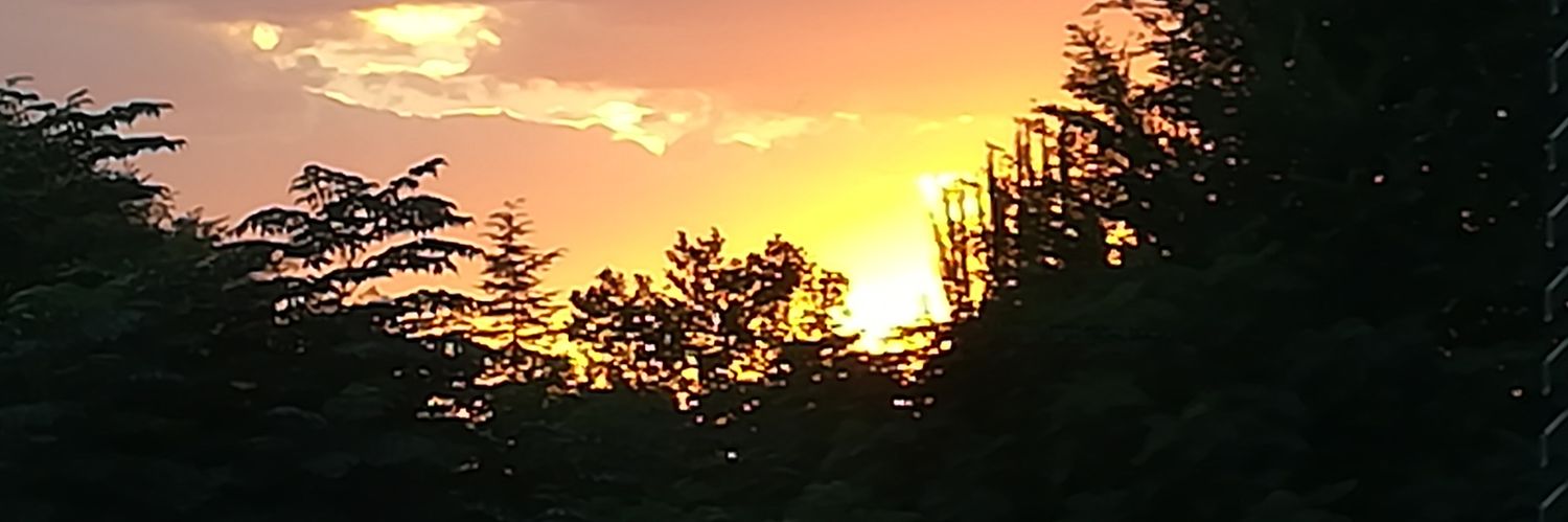 martaropero's profile banner image