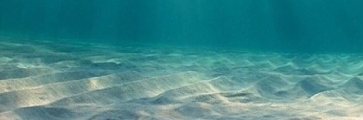 hndtrntkn's profile banner image