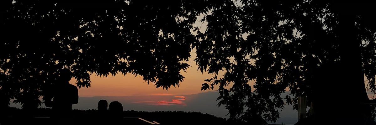 BO_OMAR_'s profile banner image