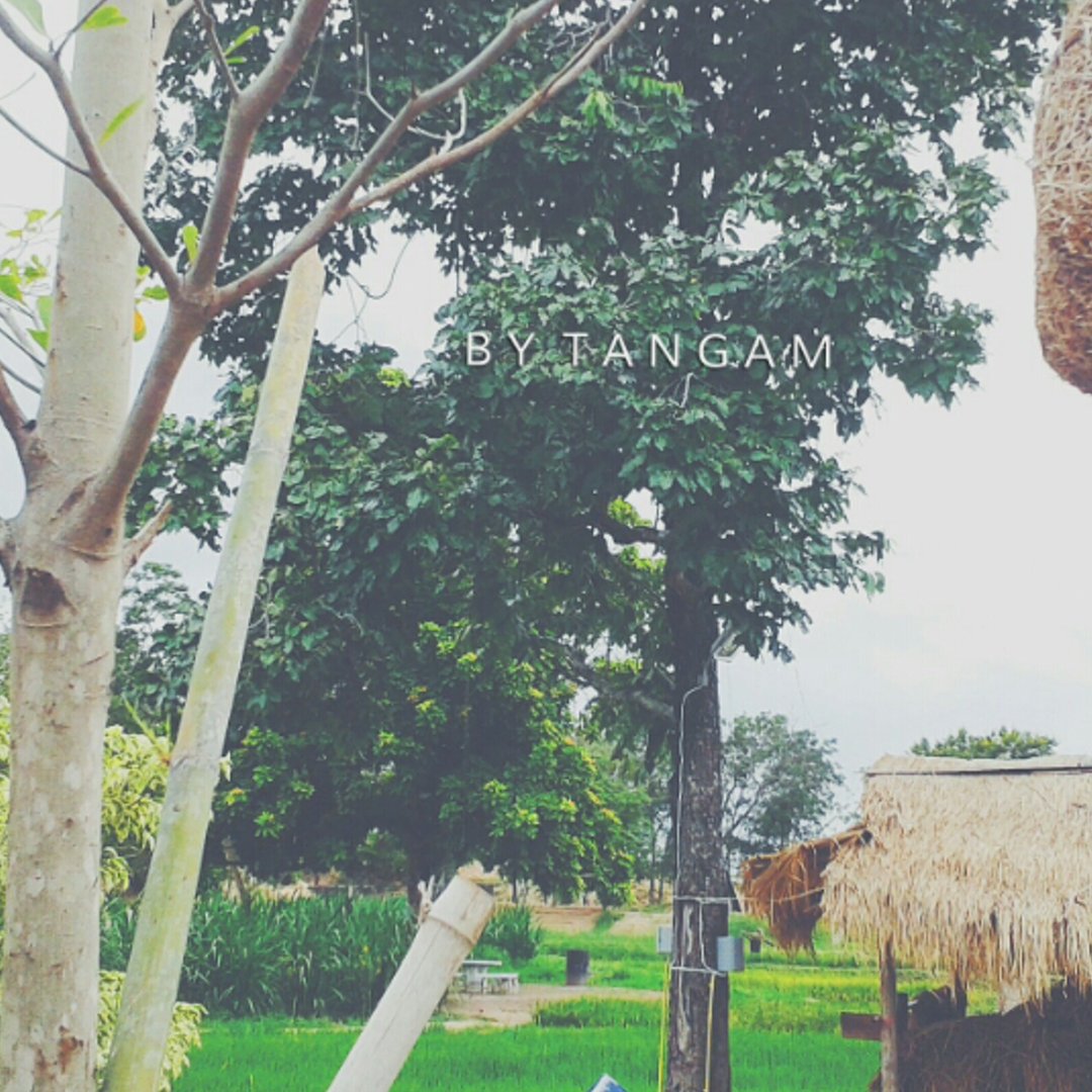 nonka_theme_p_v's profile banner image