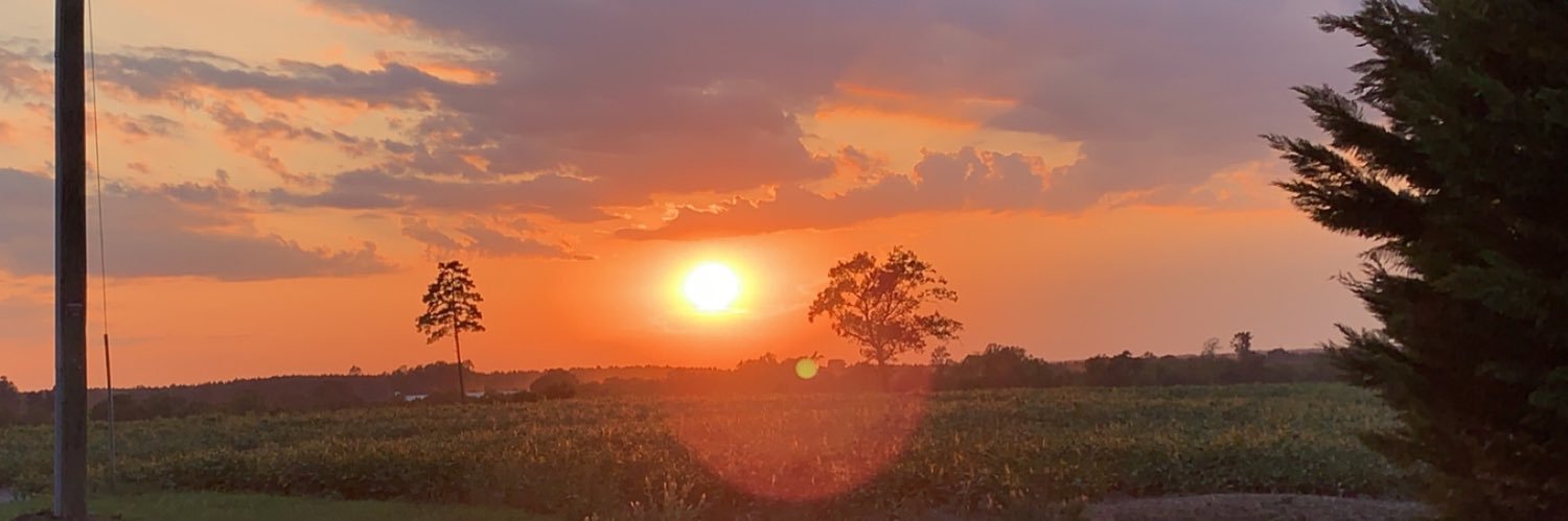 kitkat135342's profile banner image