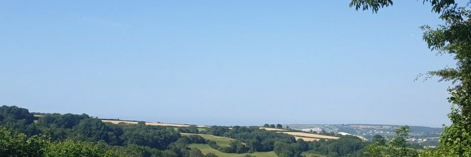 dorsetCD's profile banner image