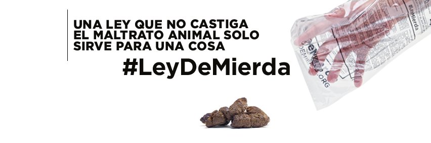 MarchaAnimalCr's profile banner image