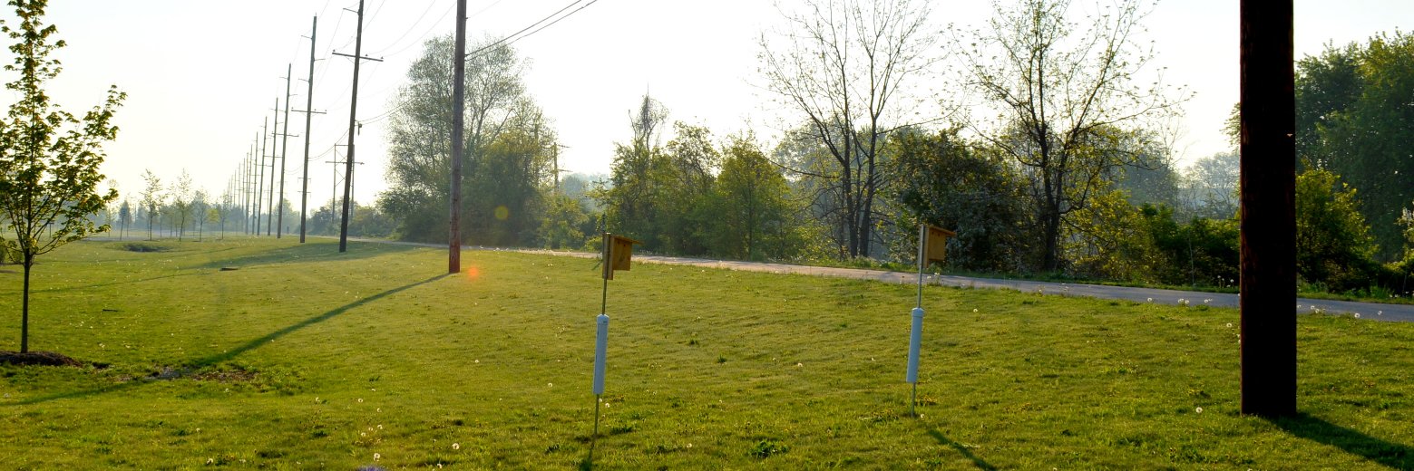 CVTrail's profile banner image