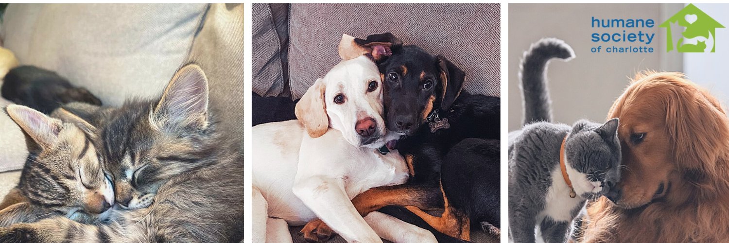 Humane Society of Charlotte banner