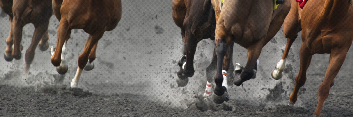 DRF Formulator banner