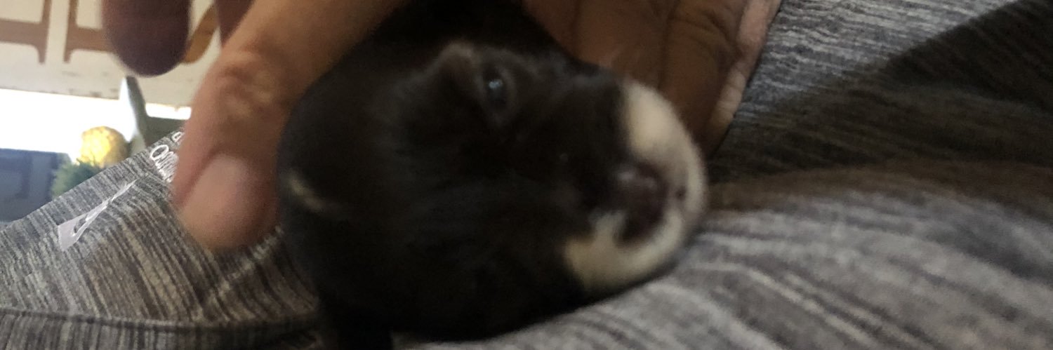 RicFrancis2's profile banner image