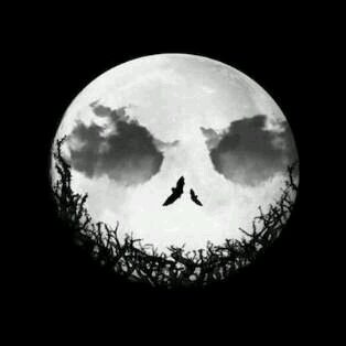 ClassyHooligan's profile banner image