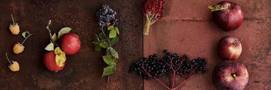 restaurant noma banner