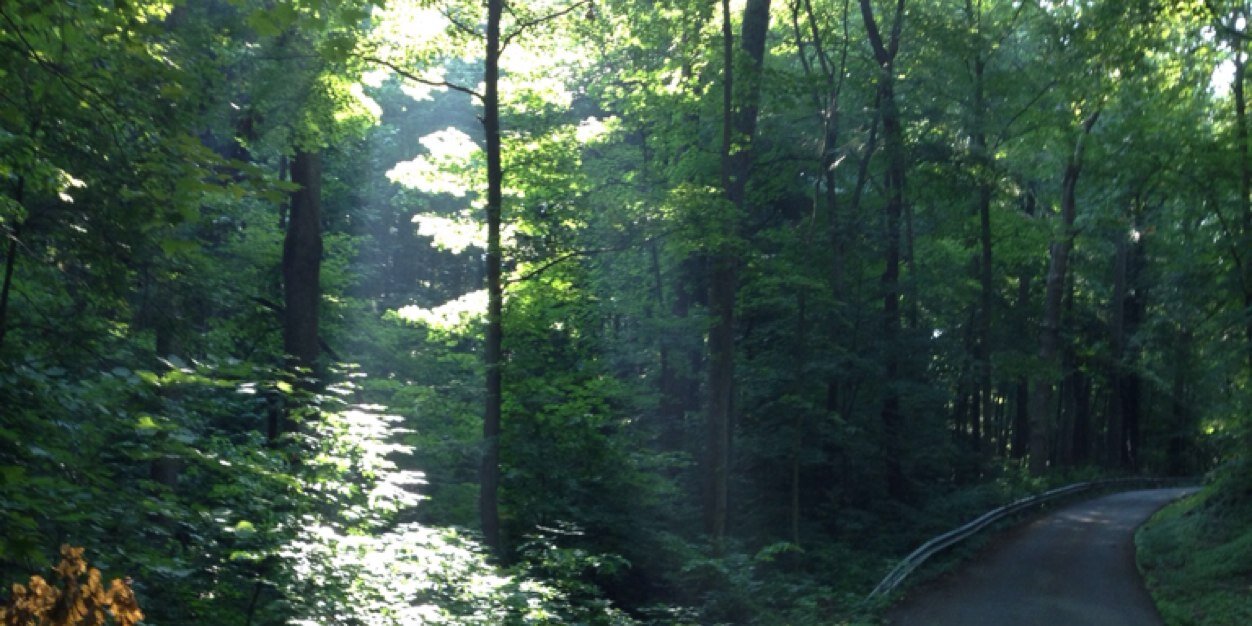 Strickler_B's profile banner image