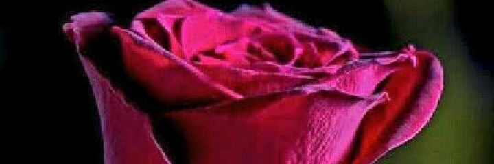 MAlfeir's profile banner image