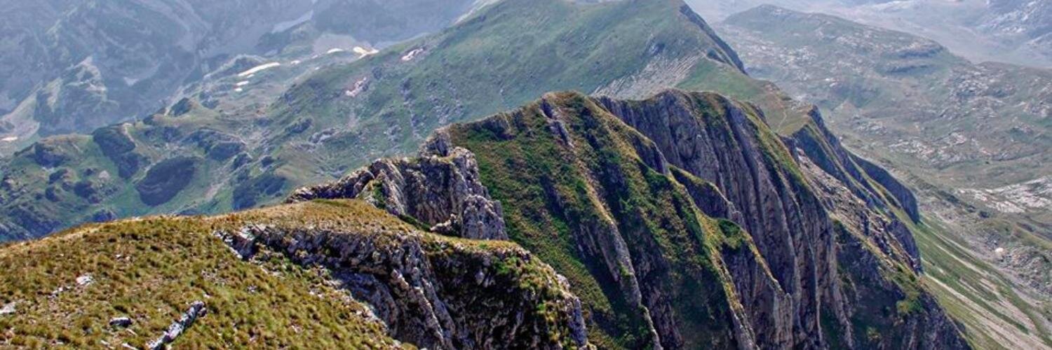 handpickedparks's profile banner image
