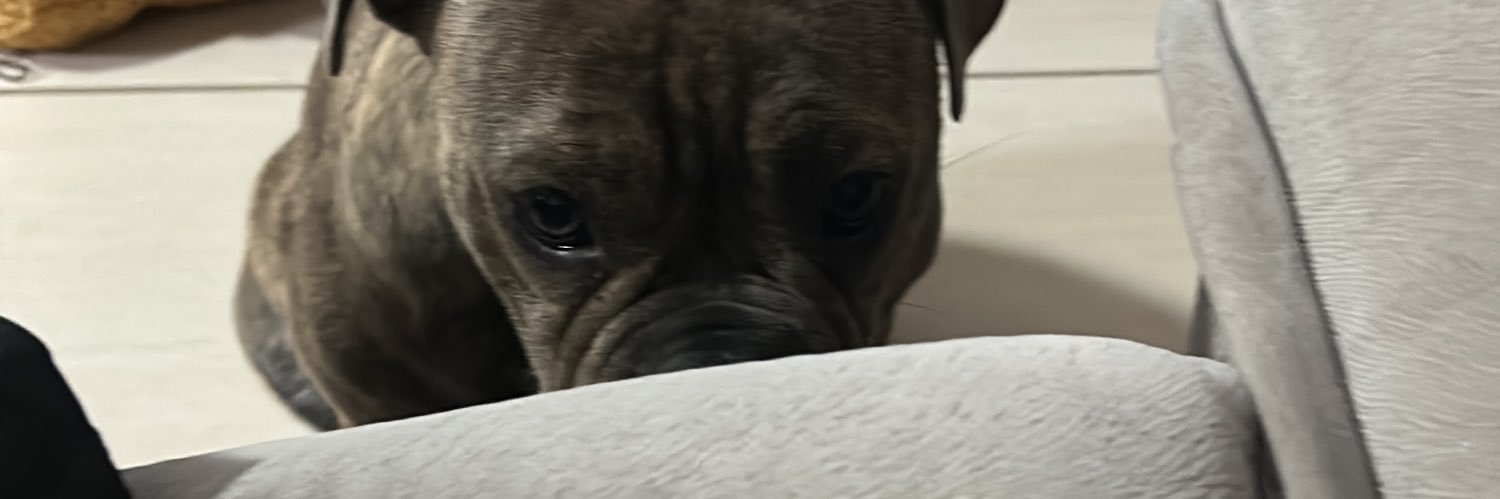 padedutra's profile banner image