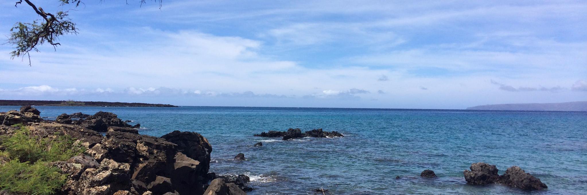 megsutt23's profile banner image