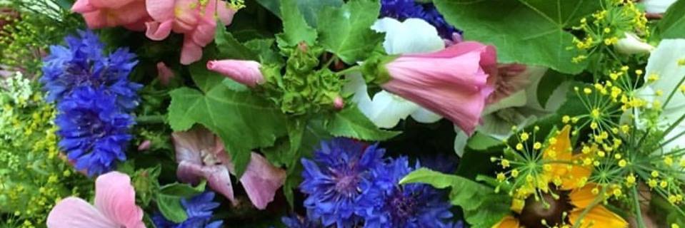 SaugertiesFarmM's profile banner image